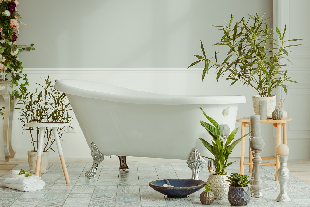 Met deze planten maak je van je badkamer een groene oase